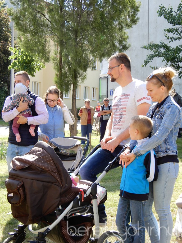 Életfa ültetés a város napján 08